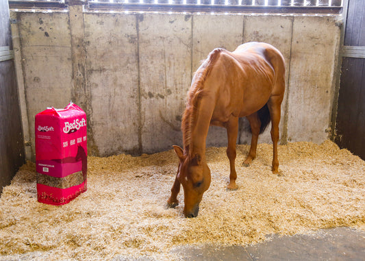 Bedsoft Bio – Highly Absorbent, Eco-Friendly Oil Seed Rape Straw Bedding 16kg Bale