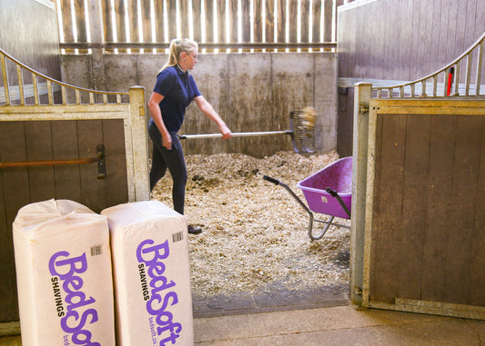 Bedsoft Shavings – Premium Low Dust Softwood Bedding for Horses & Ponies 20kg