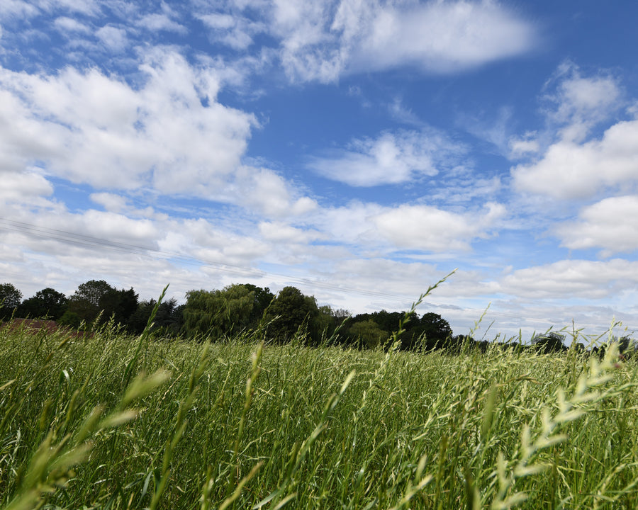 PREMIUM QUALITY PRODUCT