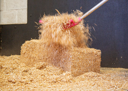 Bedsoft Bio – Highly Absorbent, Eco-Friendly Oil Seed Rape Straw Bedding 16kg Bale