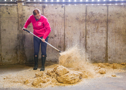 Bedsoft Bio bedding laid in a horse stable
