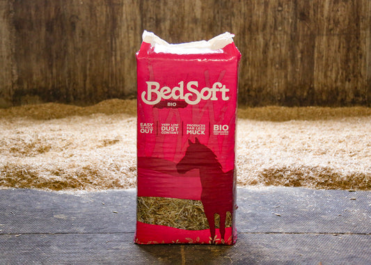 BedSoft Bio