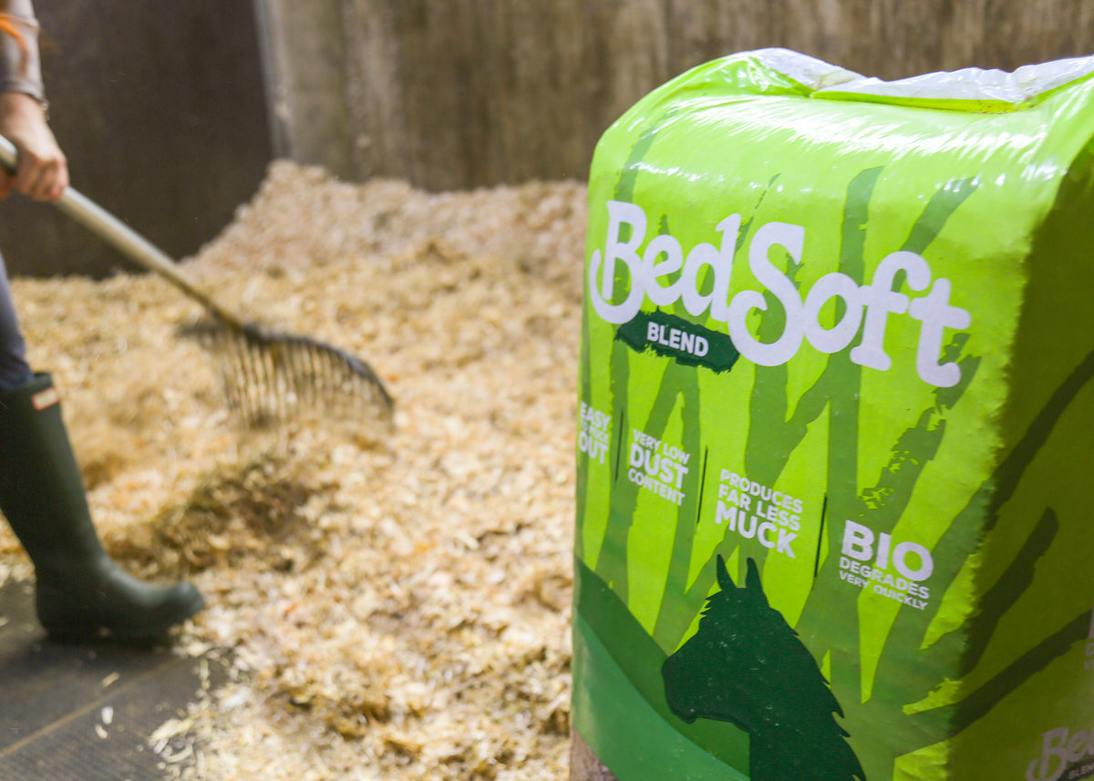 Horse at a show with bedSoft haylage supplies
