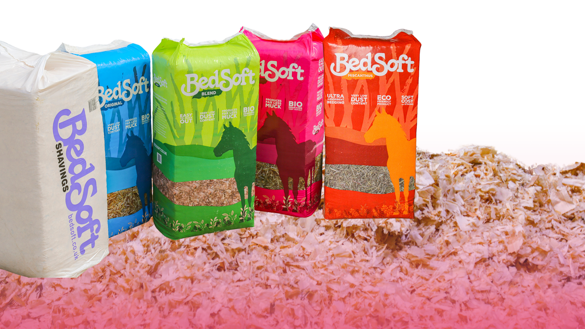 Laysoft Bedsoft